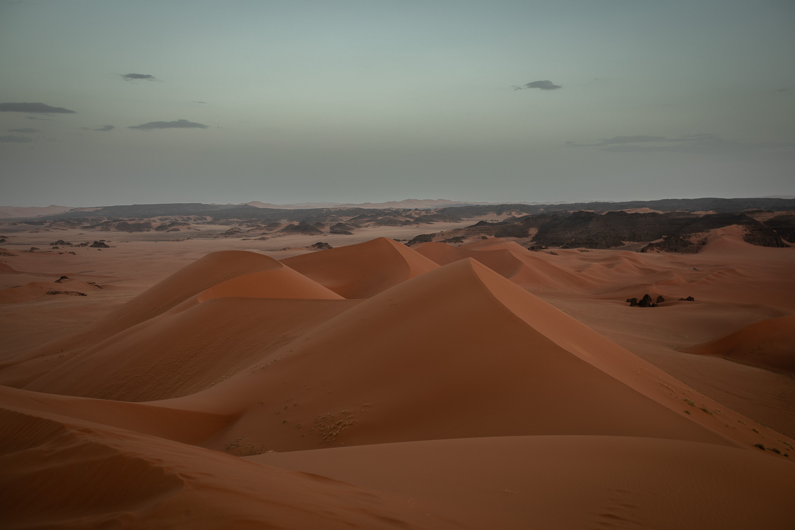 Human & Nature  outoftime 99